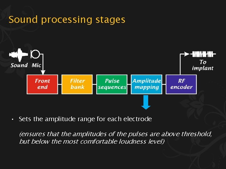 Sound processing stages • Sets the amplitude range for each electrode (ensures that the