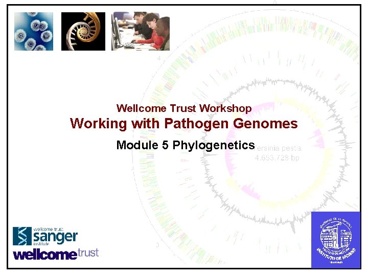 Wellcome Trust Workshop Working with Pathogen Genomes Module 5 Phylogenetics 