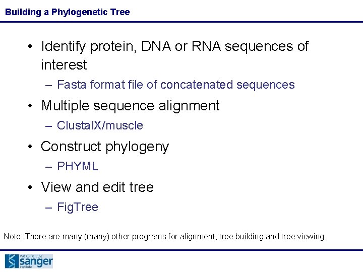 Building a Phylogenetic Tree • Identify protein, DNA or RNA sequences of interest –