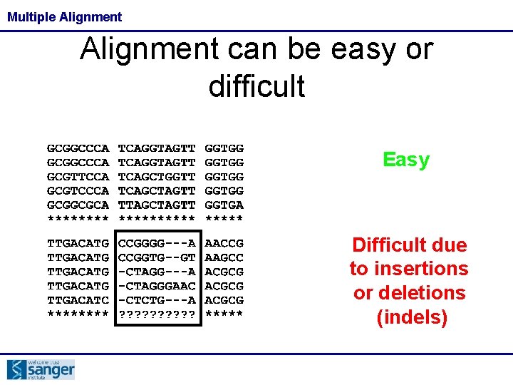 Multiple Alignment can be easy or difficult Easy Difficult due to insertions or deletions