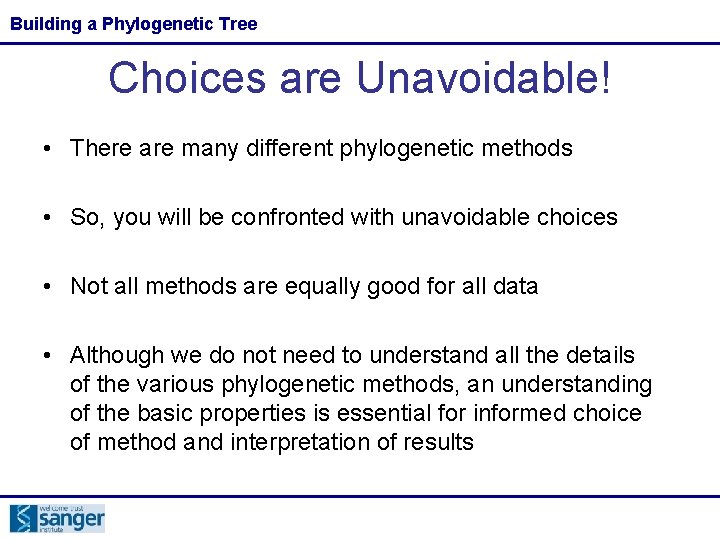 Building a Phylogenetic Tree Choices are Unavoidable! • There are many different phylogenetic methods