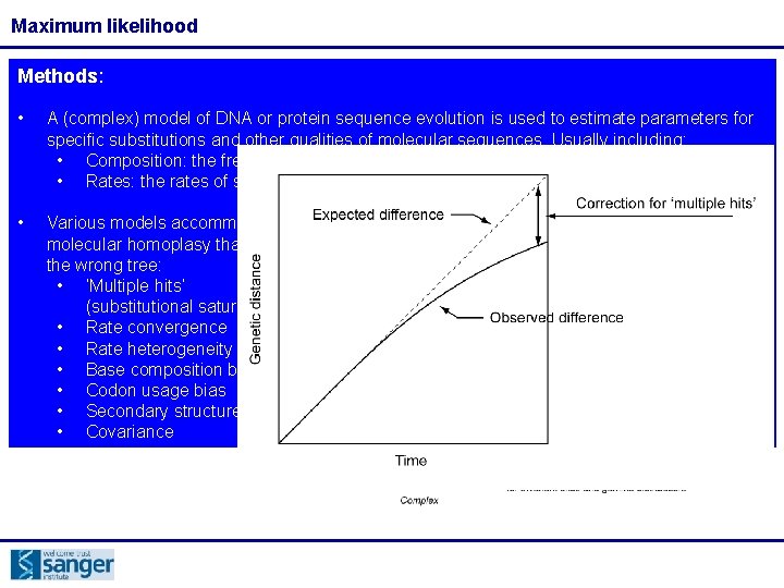 Maximum likelihood Methods: • A (complex) model of DNA or protein sequence evolution is