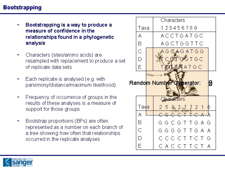 Bootstrapping • • Bootstrapping is a way to produce a measure of confidence in