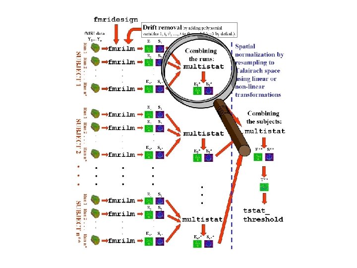 A general statistical analysis for f MRI data