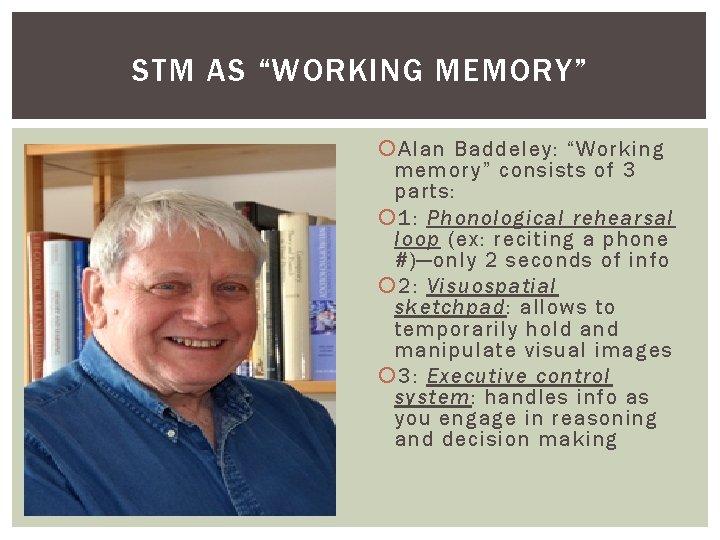 STM AS “WORKING MEMORY” Alan Baddeley: “Working memory” consists of 3 parts: 1: Phonological