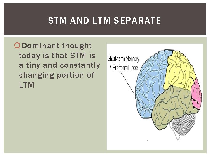 STM AND LTM SEPARATE Dominant thought today is that STM is a tiny and