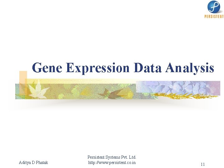 Gene Expression Data Analysis Aditya D Phatak Persistent Systems Pvt. Ltd. http: //www. persistent.