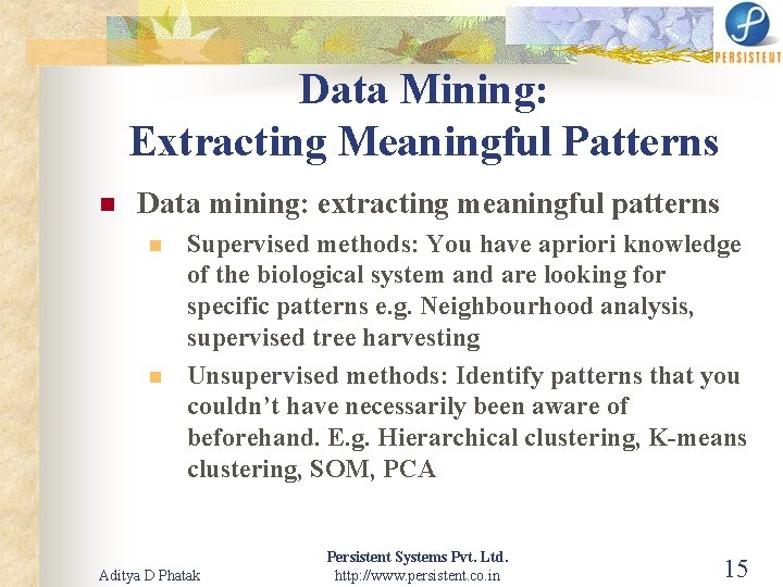 Data Mining: Extracting Meaningful Patterns n Data mining: extracting meaningful patterns n n Supervised