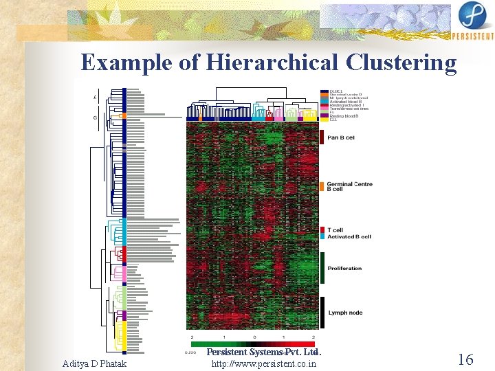 Example of Hierarchical Clustering Aditya D Phatak Persistent Systems Pvt. Ltd. http: //www. persistent.