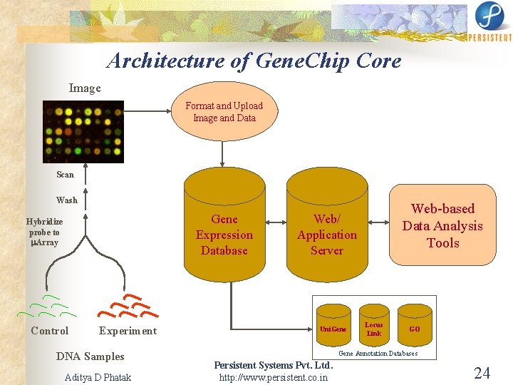 Architecture of Gene. Chip Core Image Format and Upload Image and Data Scan Wash