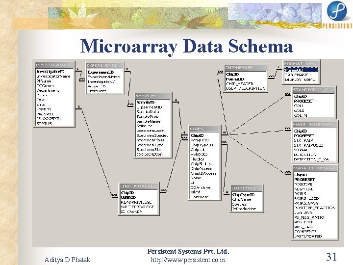 Microarray Data Schema Aditya D Phatak Persistent Systems Pvt. Ltd. http: //www. persistent. co.