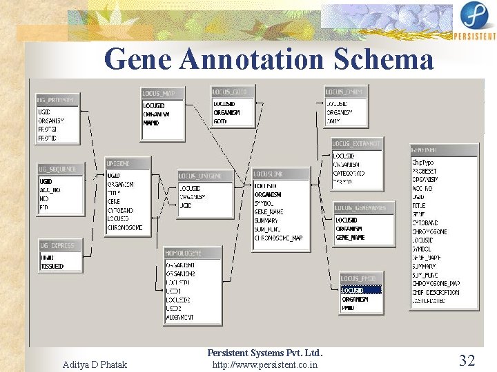 Gene Annotation Schema Aditya D Phatak Persistent Systems Pvt. Ltd. http: //www. persistent. co.