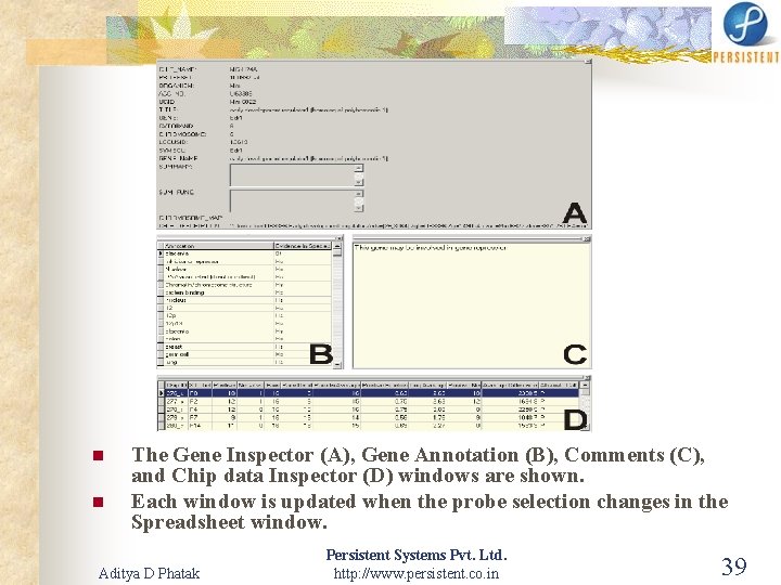 n n The Gene Inspector (A), Gene Annotation (B), Comments (C), and Chip data