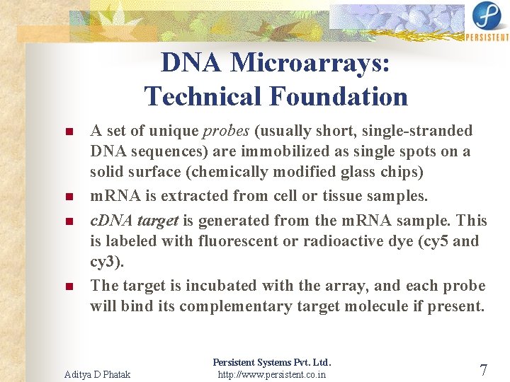 DNA Microarrays: Technical Foundation n n A set of unique probes (usually short, single-stranded