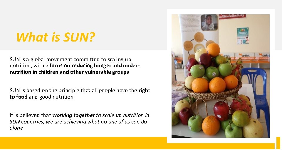 What is SUN? SUN is a global movement committed to scaling up nutrition, with