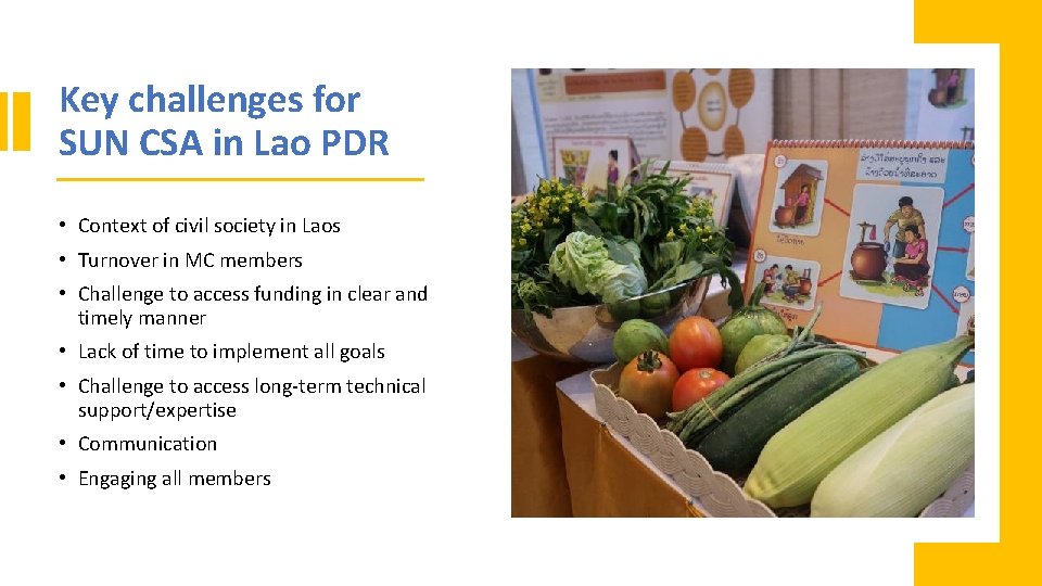 Key challenges for SUN CSA in Lao PDR • Context of civil society in