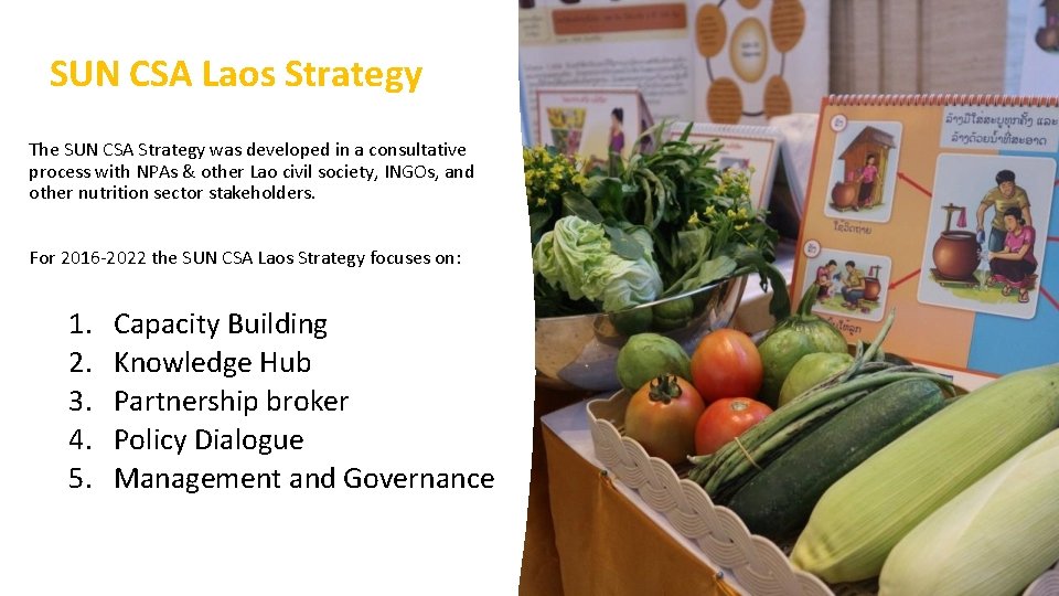 SUN CSA Laos Strategy The SUN CSA Strategy was developed in a consultative process