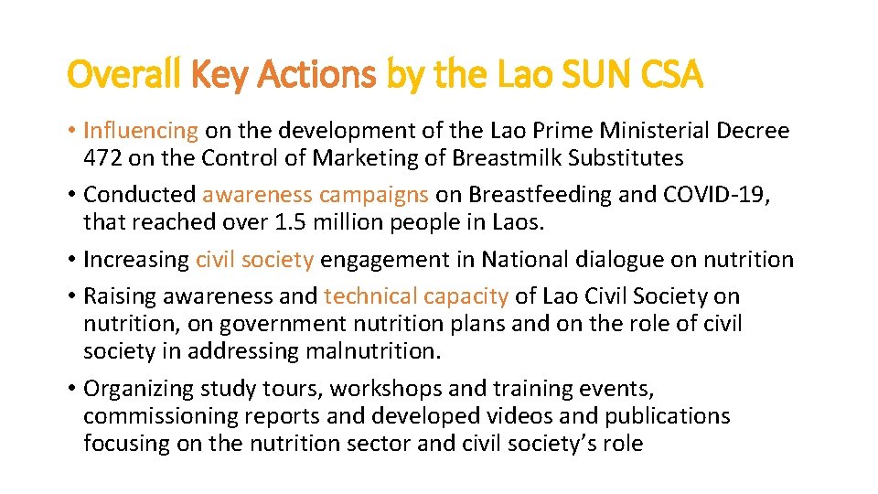 Overall Key Actions by the Lao SUN CSA • Influencing on the development of