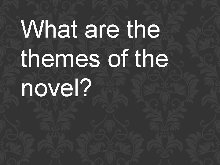 What are themes of the novel? 