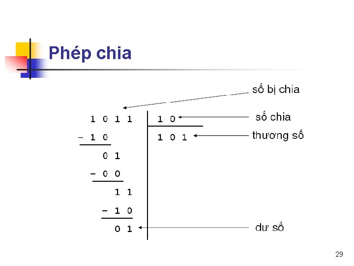 Phép chia 29 