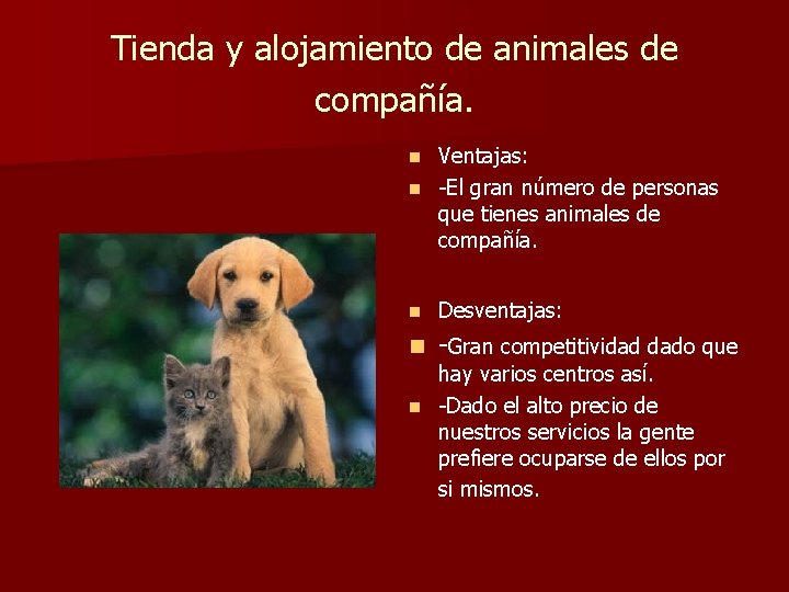 Tienda y alojamiento de animales de compañía. Ventajas: n -El gran número de personas