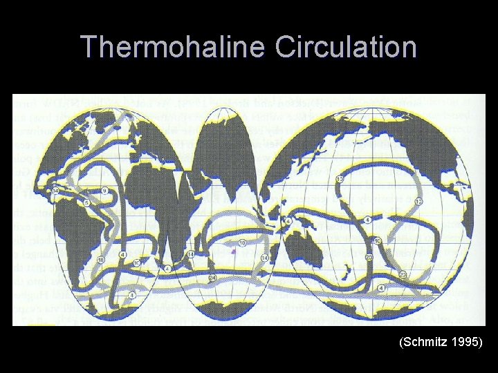 Thermohaline Circulation (Schmitz 1995) 