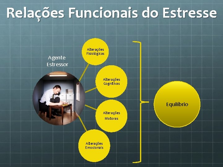 Relações Funcionais do Estresse Agente Estressor Alterações Fisiológicas Alterações Cognitivas Equilíbrio Alterações Motoras Alterações