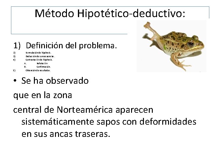 Método Hipotético-deductivo: 1) Definición del problema. 2) 3) 4) 5) Formulación de hipótesis. Deducción