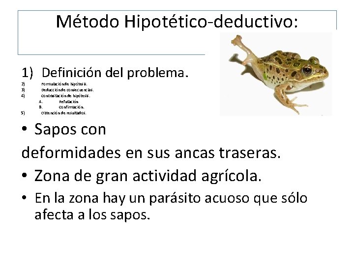 Método Hipotético-deductivo: 1) Definición del problema. 2) 3) 4) 5) Formulación de hipótesis. Deducción