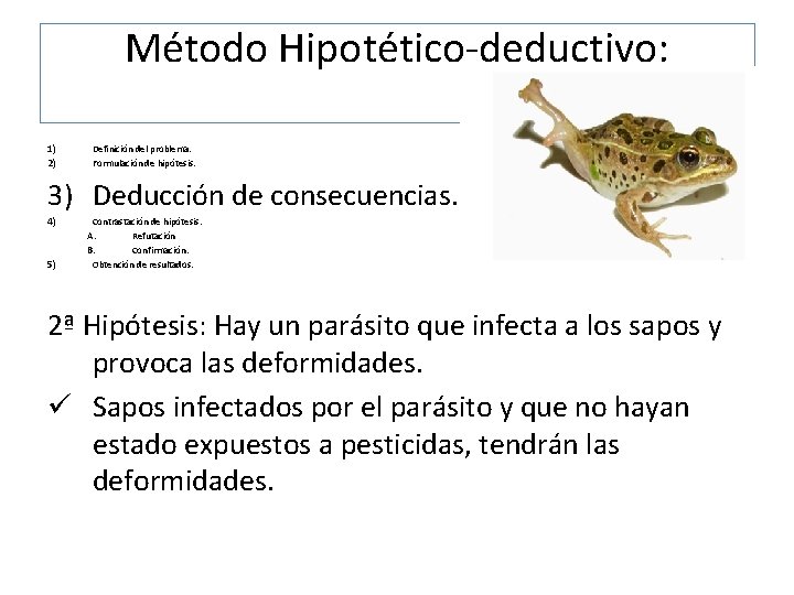 Método Hipotético-deductivo: 1) 2) Definición del problema. Formulación de hipótesis. 3) Deducción de consecuencias.