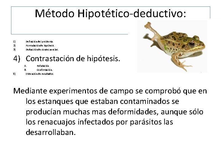 Método Hipotético-deductivo: 1) 2) 3) Definición del problema. Formulación de hipótesis. Deducción de consecuencias.