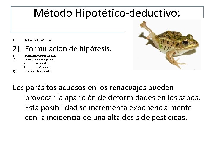 Método Hipotético-deductivo: 1) Definición del problema. 2) Formulación de hipótesis. 3) 4) 5) Deducción