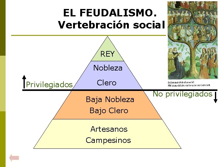 EL FEUDALISMO. Vertebración social REY Nobleza Privilegiados Clero Baja Nobleza Bajo Clero Artesanos Campesinos