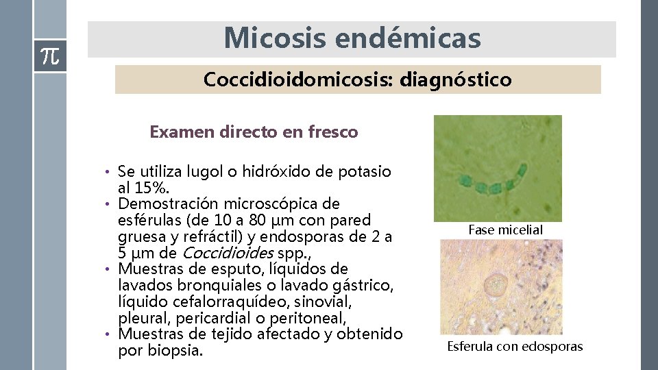 Micosis endémicas Diagnóstico de la oratorio Coccidioidomicosis: diagnóstico Examen directo en fresco • Se
