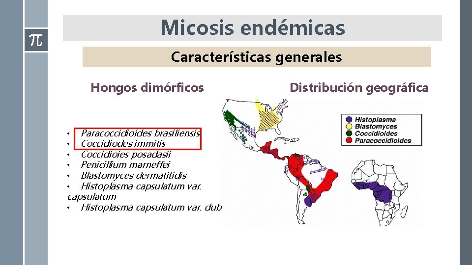 Micosis endémicas Características generales Hongos dimórficos • Paracoccidioides brasiliensis • Coccidiodes immitis • Coccidioies
