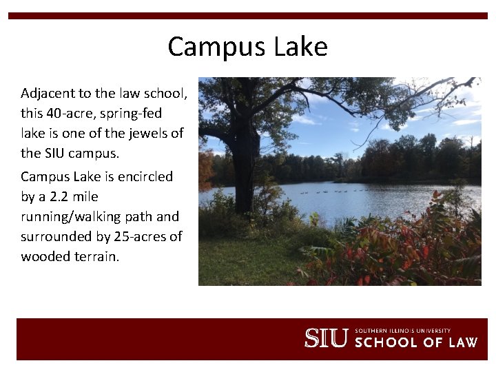 Campus Lake Adjacent to the law school, this 40 -acre, spring-fed lake is one