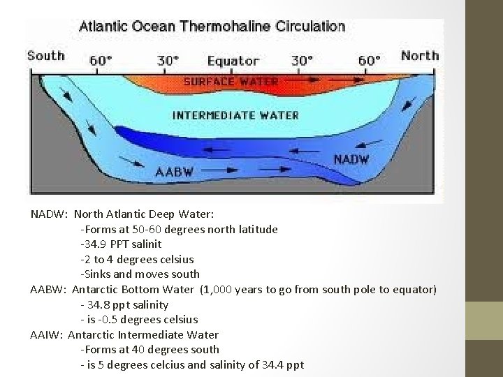 NADW: North Atlantic Deep Water: -Forms at 50 -60 degrees north latitude -34. 9