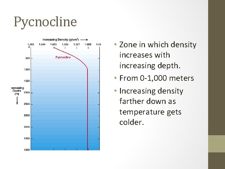 Pycnocline • Zone in which density increases with increasing depth. • From 0 -1,