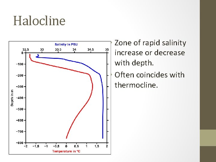 Halocline • Zone of rapid salinity increase or decrease with depth. • Often coincides