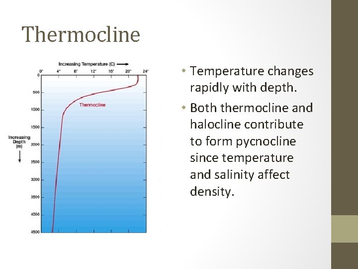 Thermocline • Temperature changes rapidly with depth. • Both thermocline and halocline contribute to