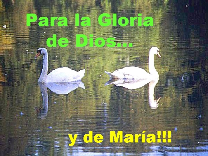 Para la Gloria de Dios. . . y de María!!! 