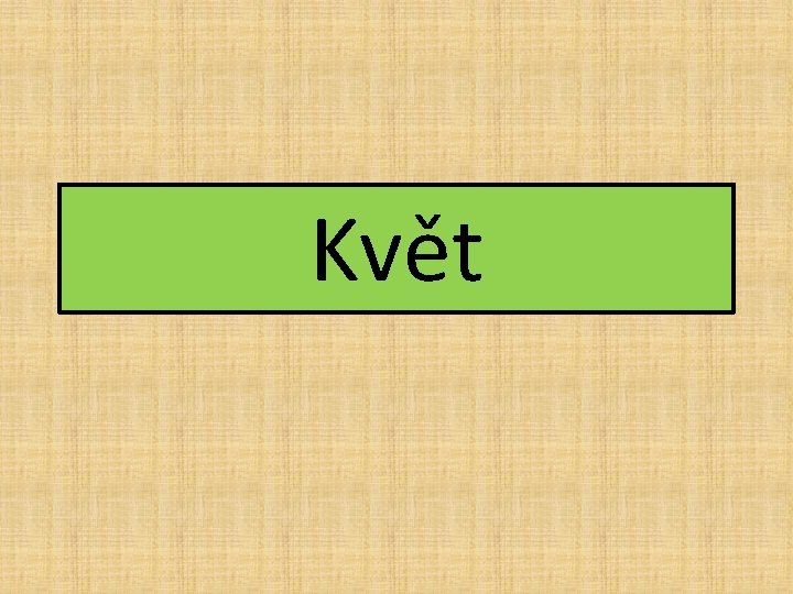 Květ 