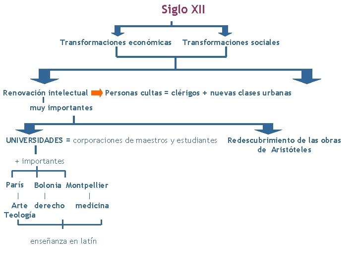 Siglo XII Transformaciones económicas Renovación intelectual Transformaciones sociales Personas cultas = clérigos + nuevas