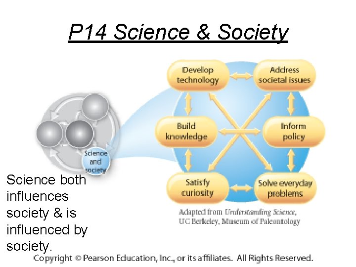 P 14 Science & Society Science both influences society & is influenced by society.