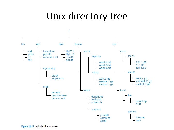 Unix directory tree 