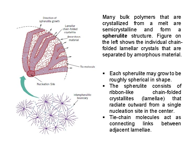 Many bulk polymers that are crystallized from a melt are semicrystalline and form a