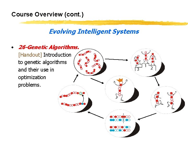 Course Overview (cont. ) Evolving Intelligent Systems • 26 -Genetic Algorithms. [Handout] Introduction to