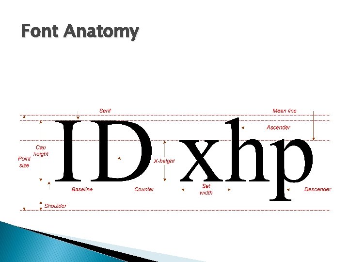 Font Anatomy 