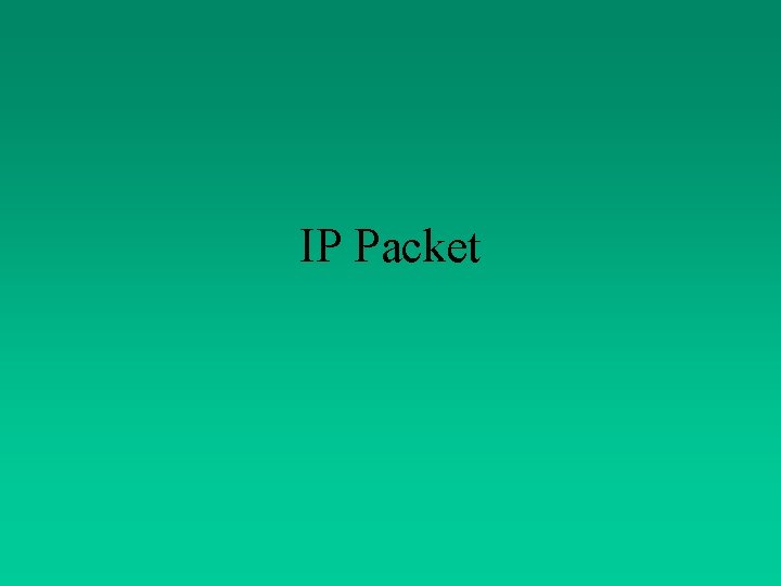 IP Packet 