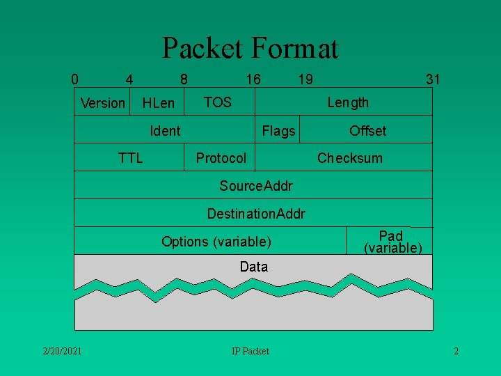 Packet Format 0 4 Version 8 HLen 16 TOS 31 Length Ident TTL 19